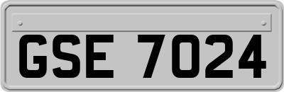 GSE7024