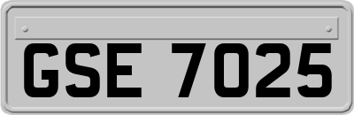 GSE7025