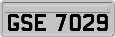 GSE7029