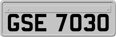 GSE7030