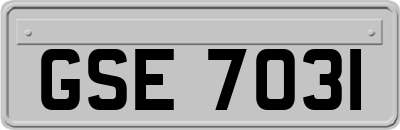 GSE7031