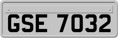 GSE7032