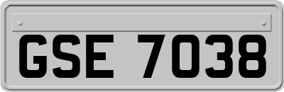 GSE7038