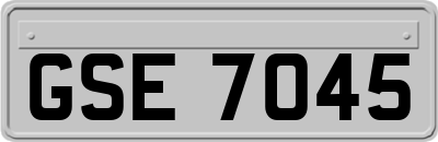 GSE7045