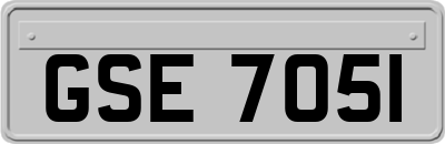 GSE7051