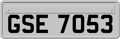 GSE7053