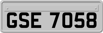 GSE7058