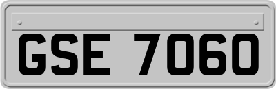 GSE7060