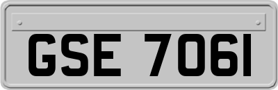 GSE7061