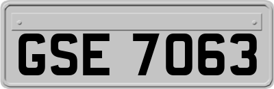 GSE7063