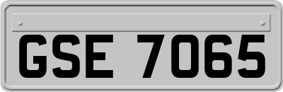 GSE7065