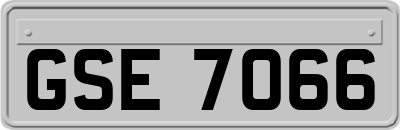GSE7066