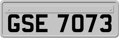 GSE7073