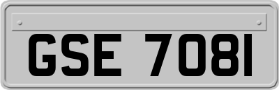 GSE7081