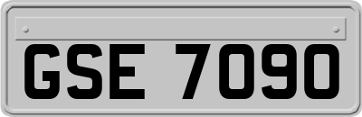 GSE7090