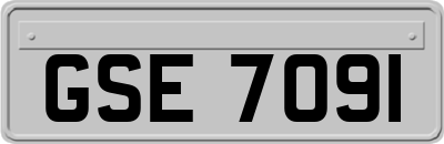 GSE7091
