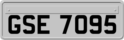 GSE7095