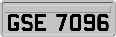 GSE7096