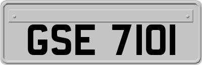 GSE7101