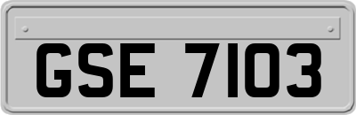 GSE7103