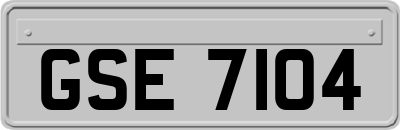 GSE7104