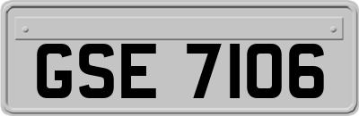 GSE7106