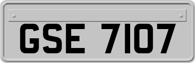 GSE7107