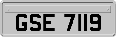 GSE7119