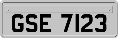 GSE7123