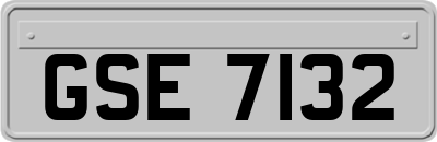 GSE7132