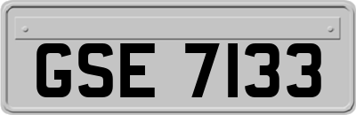 GSE7133