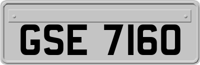 GSE7160