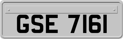 GSE7161