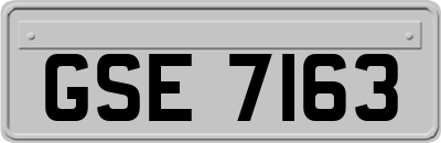 GSE7163
