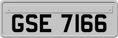 GSE7166