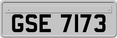 GSE7173