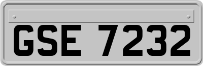 GSE7232