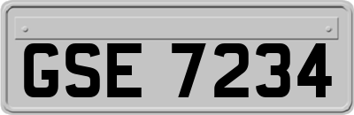 GSE7234