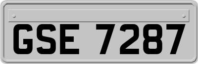 GSE7287