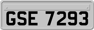 GSE7293