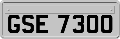 GSE7300
