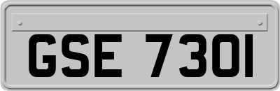 GSE7301