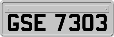 GSE7303
