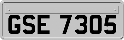 GSE7305