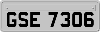 GSE7306