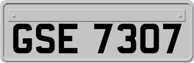 GSE7307