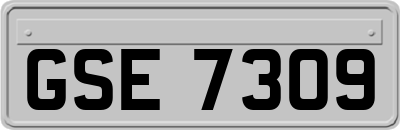 GSE7309