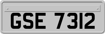 GSE7312