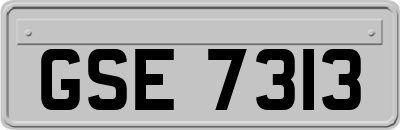 GSE7313