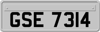 GSE7314